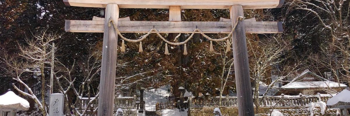 Instagram- 433209706_934914398098407_8851029131294827103_n.jpg