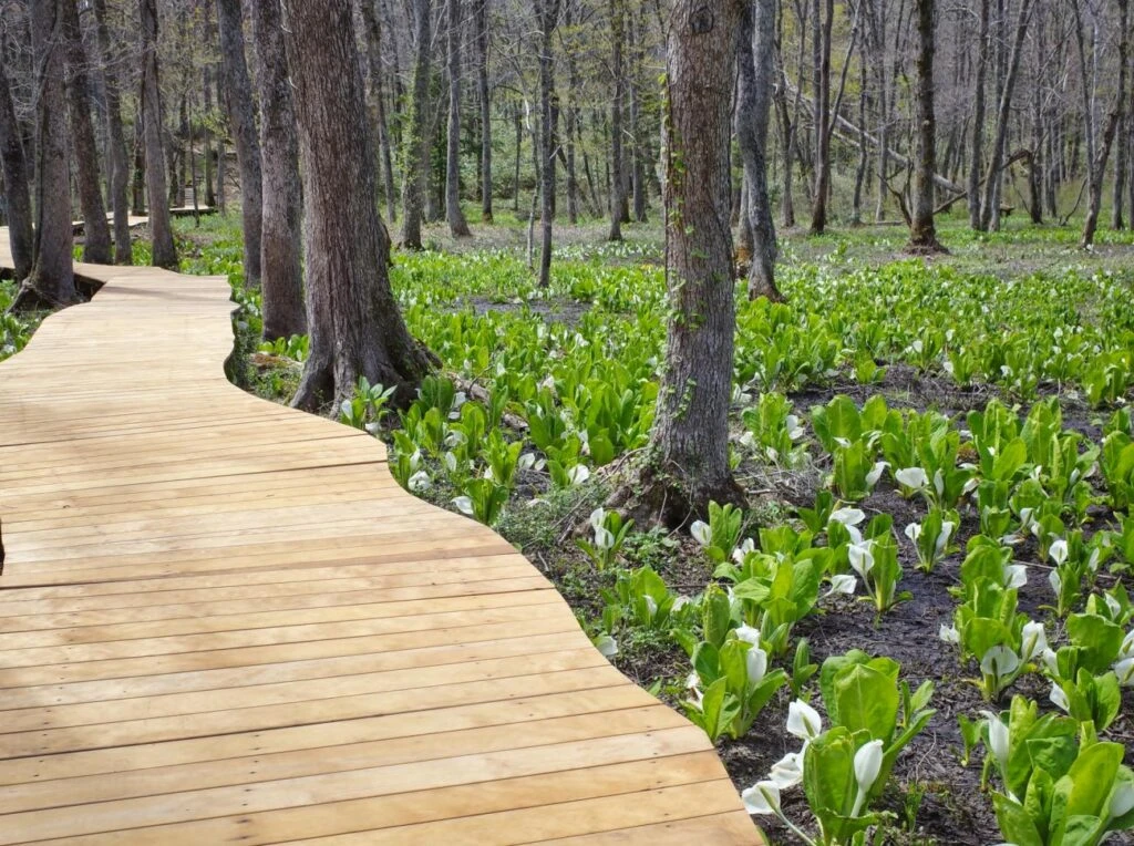 Togakushi Botanic Garden